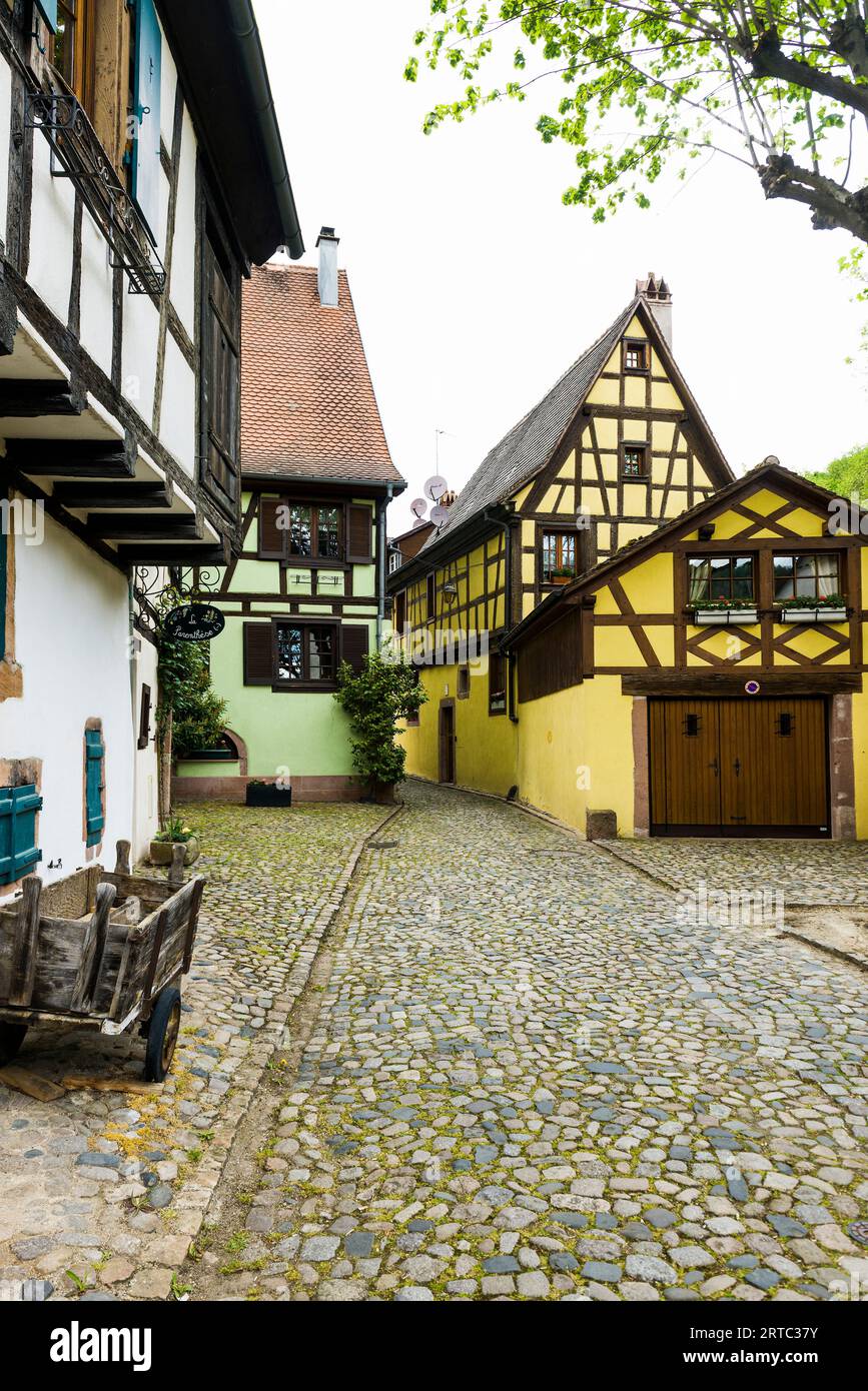Mittelalterliche bunte Fachwerkhäuser, Kaysersberg, Grand Est, Oberrhein, Elsass, Frankreich Stockfoto