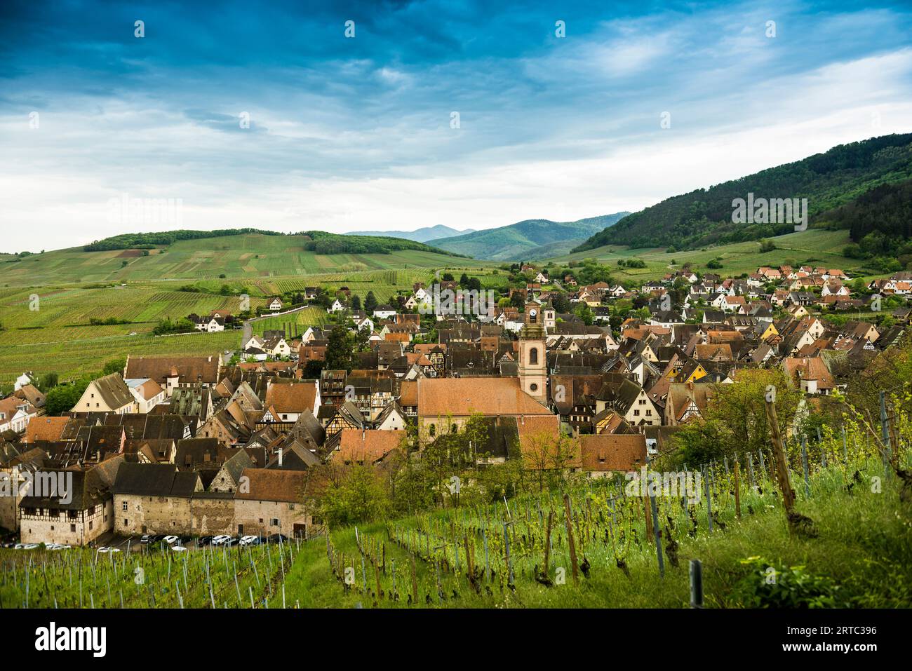 Mittelalterliches Dorf in den Weinbergen, Riquewihr, Grand Est, Haut-Rhin, Elsass, Frankreich Stockfoto