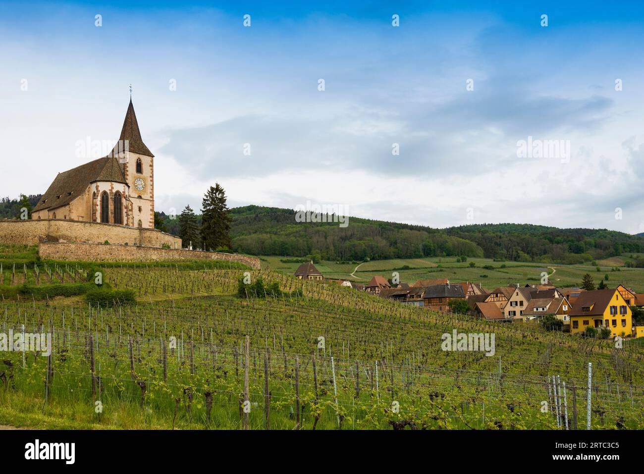 Kirche in den Weinbergen, gotische Stadtbefestigung Saint-Jacques, Hunawihr, Grand Est, Oberrhein, Elsass, Frankreich Stockfoto