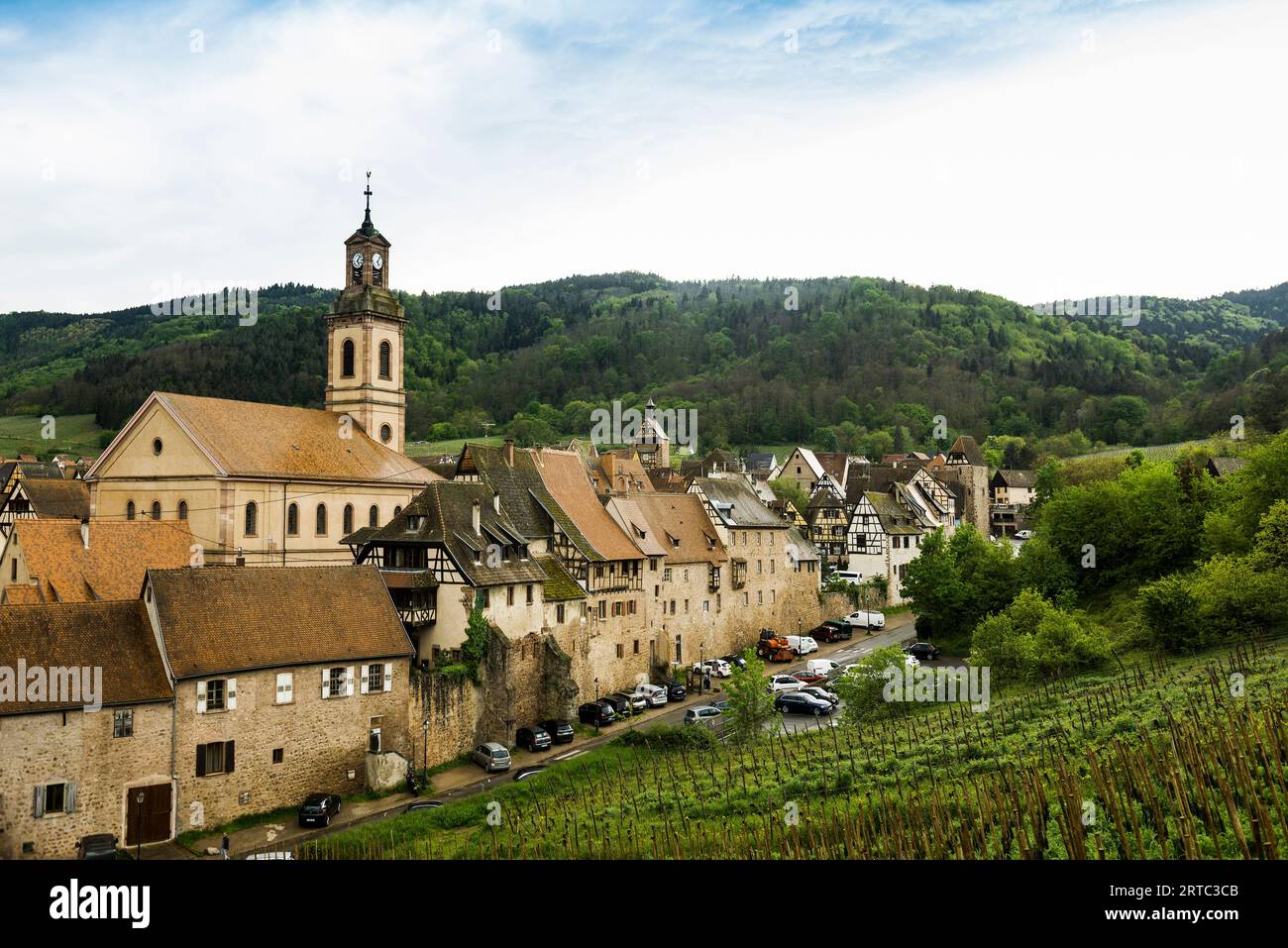 Mittelalterliches Dorf in den Weinbergen, Riquewihr, Grand Est, Haut-Rhin, Elsass, Frankreich Stockfoto