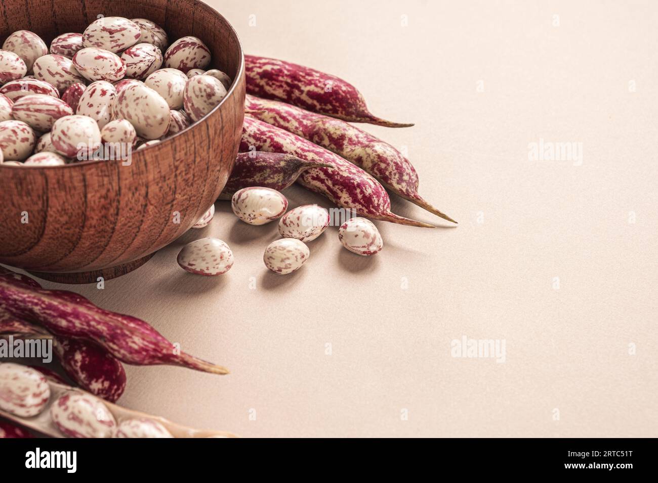 Cranberry-Bohnen. Frische Bio-Borlotti-Bohnenschalen in Schüssel. Stilvoller, moderner Essenshintergrund. Magenta-Farbe. Kreatives Lebensmittelbild. Lebensmittelgeschäft, Diät b Stockfoto