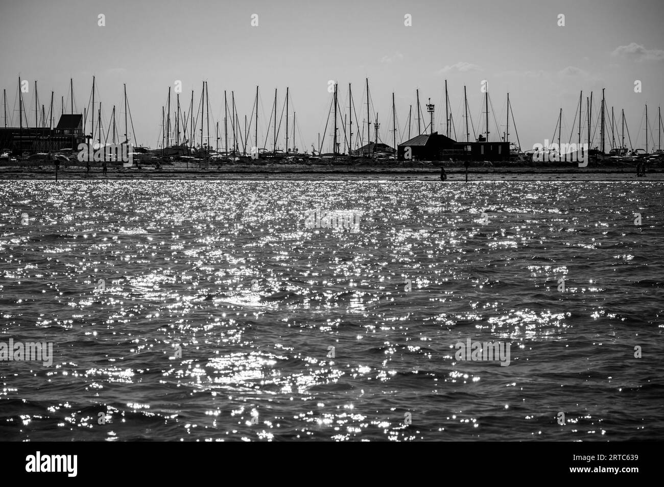 Zwischen Meer und Lagune. Segeltörn zwischen der Lagune von Marano und dem Golf von Triest. Schwarz-weiß. Stockfoto
