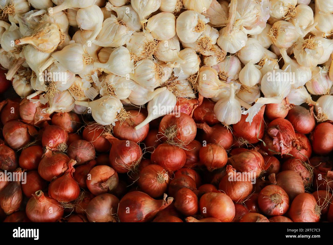 Zwiebeln und Knoblauch auf dem lokalen Markt, Zusammenstellung von frischen roten Zwiebeln und Knoblauch, Stockfoto