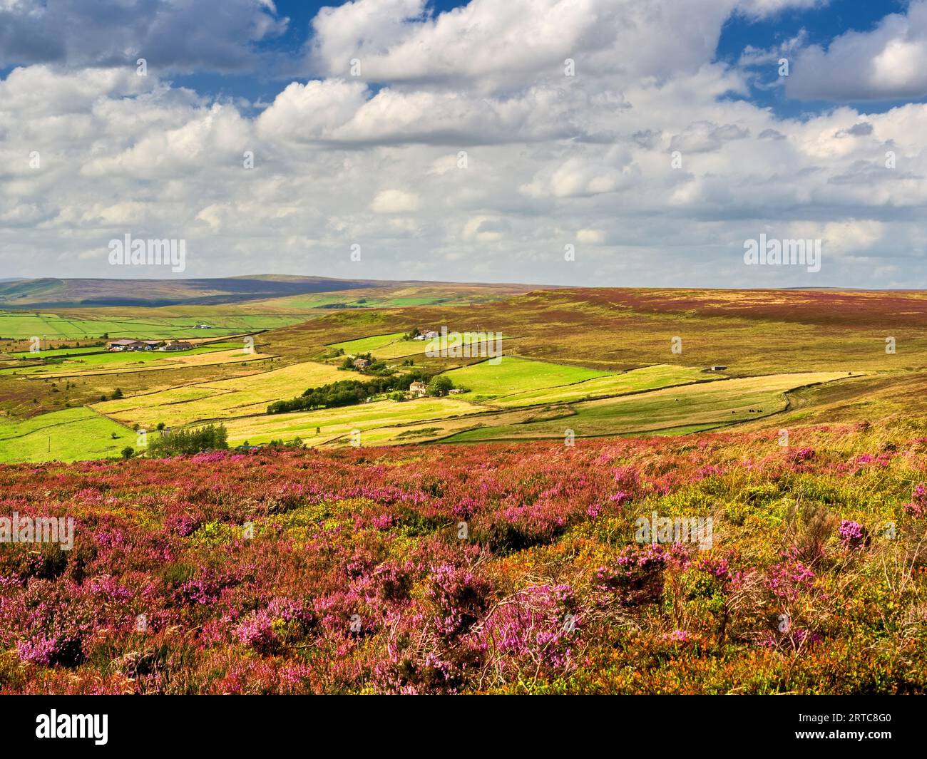 Midgley Moor. North Yorkshire Stockfoto