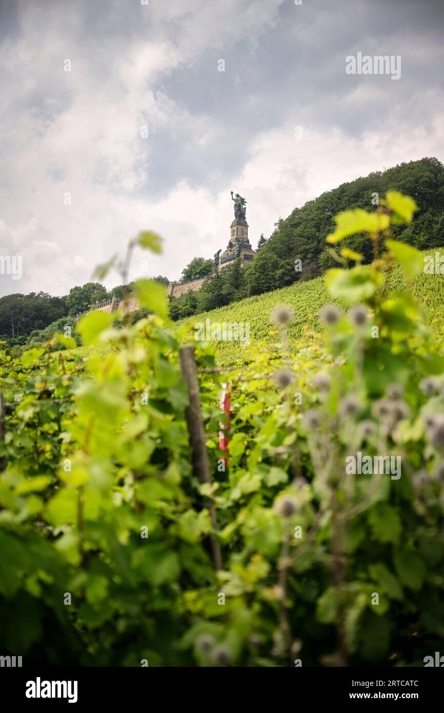 UNESCO-Weltkulturerbe „Oberes Mittelrheintal“, Niederwalddenkmal, Ruedesheim am Rhein, Landkreis Rheingau-Taunus, Hessen, Deutschland, Europa Stockfoto