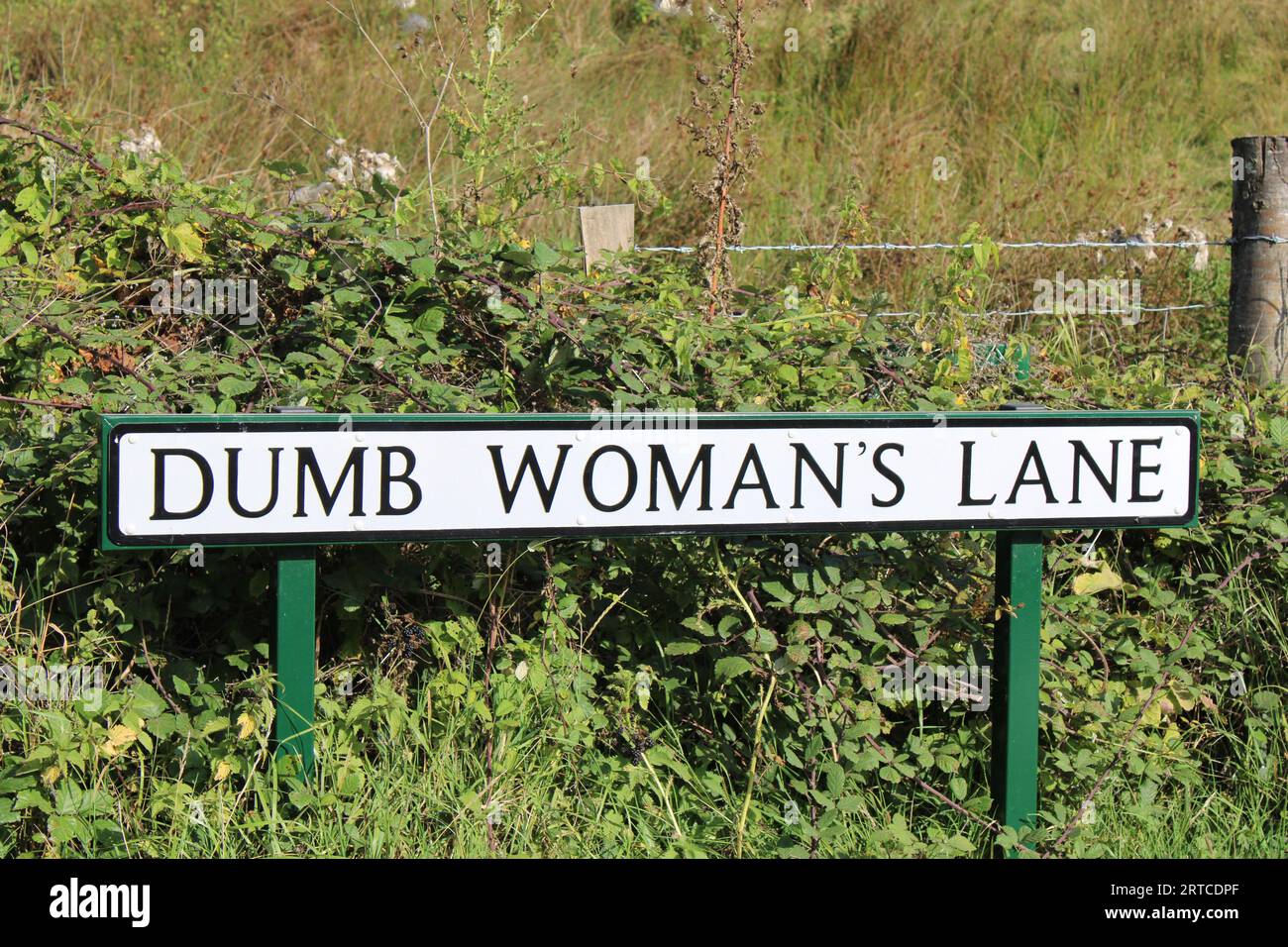 Straßenschild mit der Aufschrift "Dumb Woman's Lane", gefunden in East Sussex bei Winchelsea und Rye Stockfoto