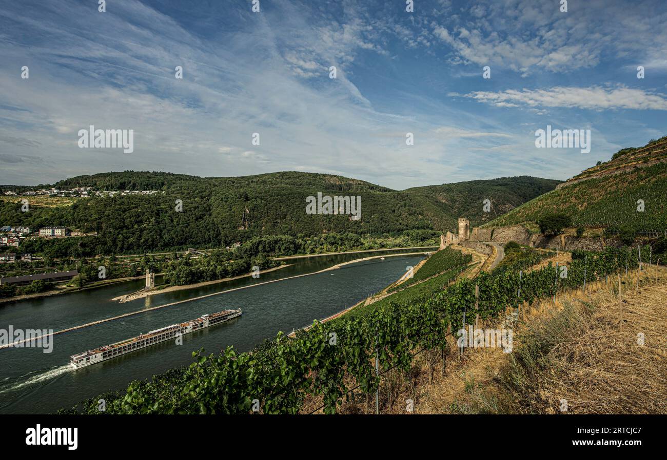 Blick über die Weinberge auf ein Hotelschiff auf dem Rhein, auf den Mausturm und die Ruinen von Schloss Ehrenfels, Bingen und Rüdesheim, Oberes Mittelrheintal Stockfoto