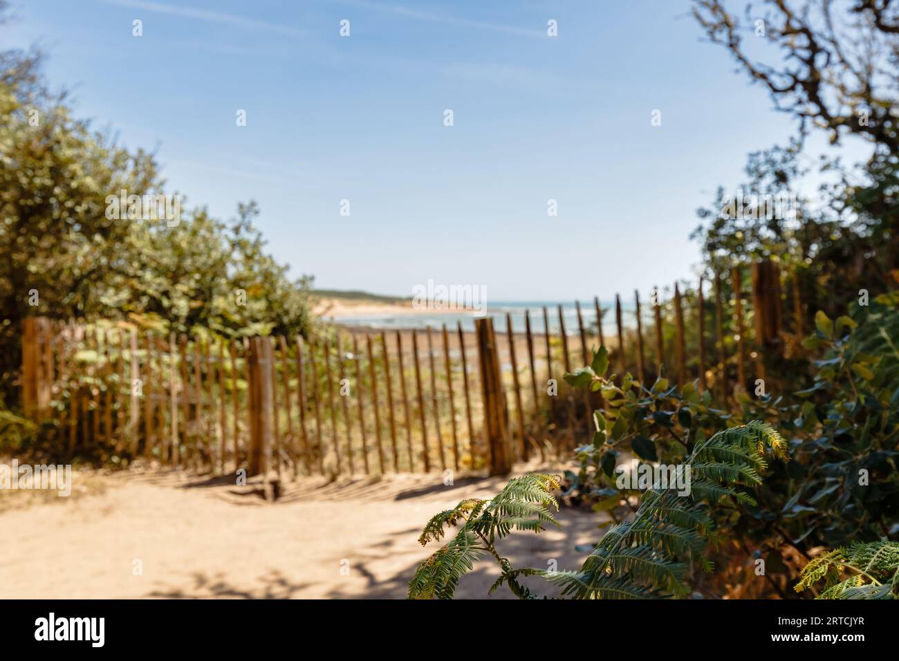 Blick auf den Strand von La Mine in Jard sur Mer, Frankreich an einem Sommertag, Vendée, Frankreich Stockfoto