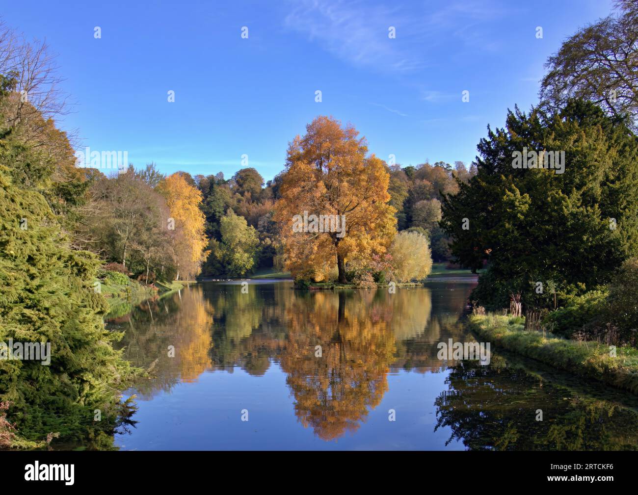Der Baum wird im Herbst orange und spiegelt sich in einem ruhigen See wider Stockfoto
