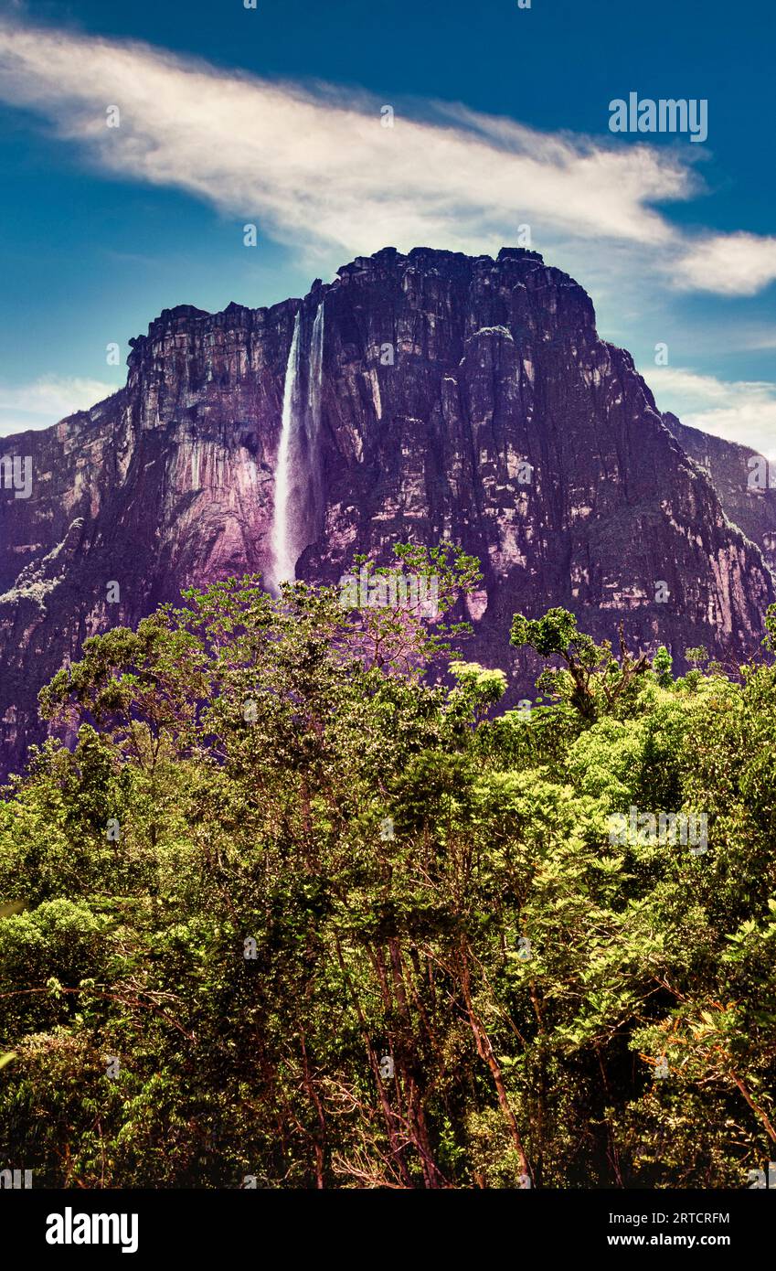 Der Angel Falls mit einer Höhe von 979 Metern im Canaima-Nationalpark, Bolivar State, Venezuela, ist er der höchste ununterbrochene Wasserfall der Welt Stockfoto