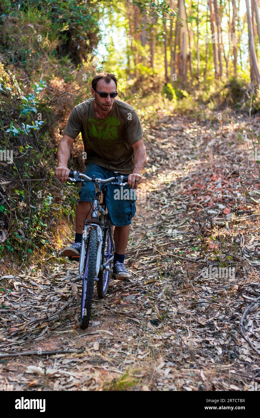 Man fährt mit dem Fahrrad durch Holzfällerwege Stockfoto