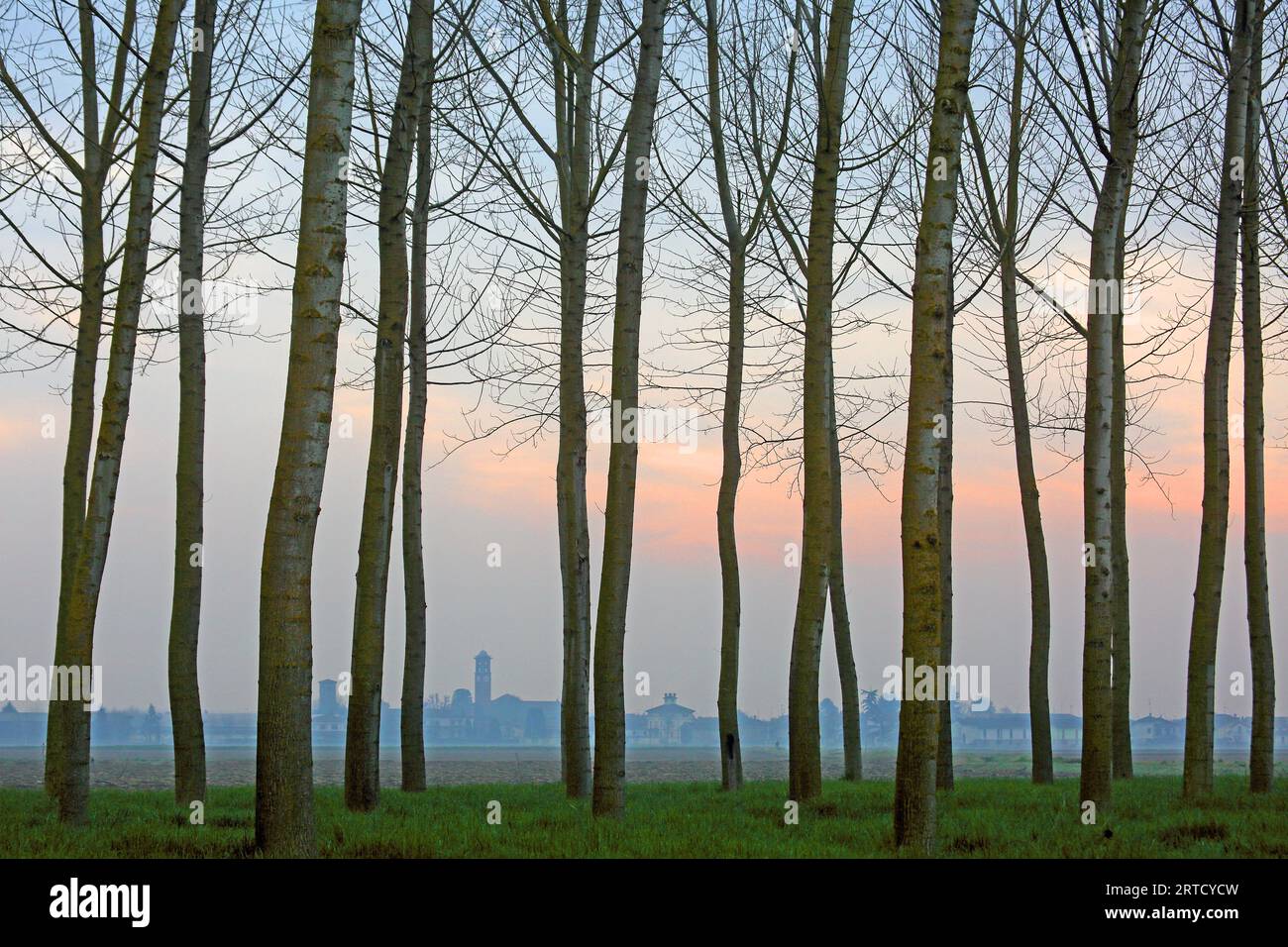 Landschaft in Vigevano, Lombardei, Italien Stockfoto