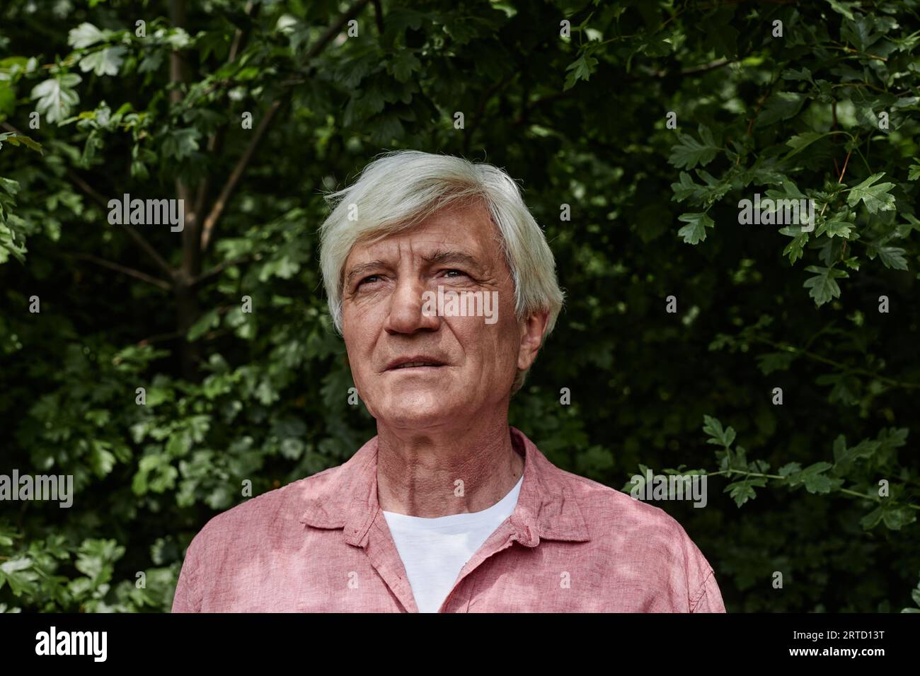 Porträt von vorne von einem älteren Mann, der draußen gegen grüne Blätter schaut Stockfoto