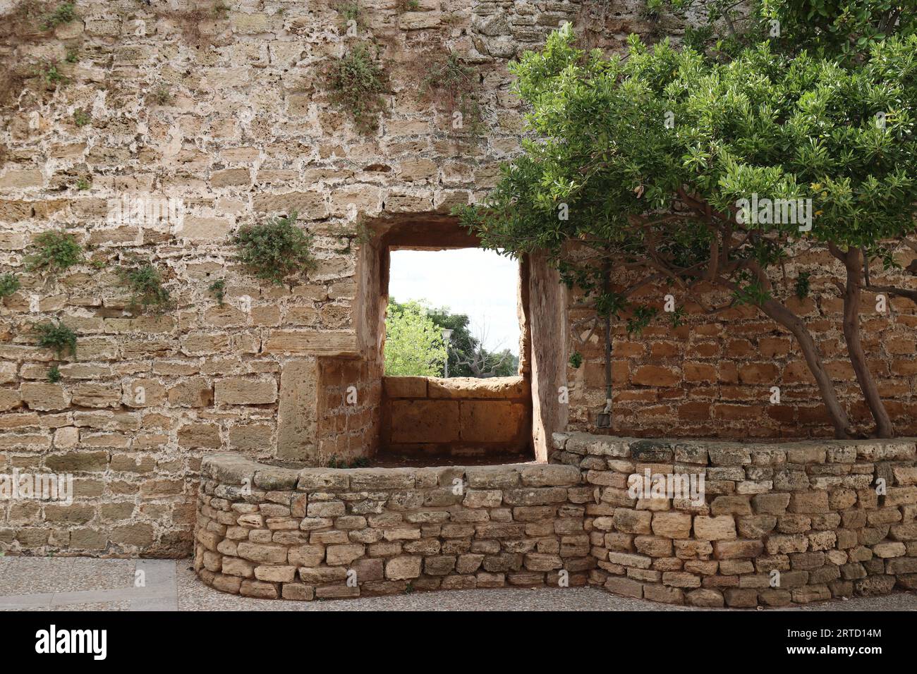 Teilweiser Blick auf die alten Stadtmauern von Alcudia Stockfoto