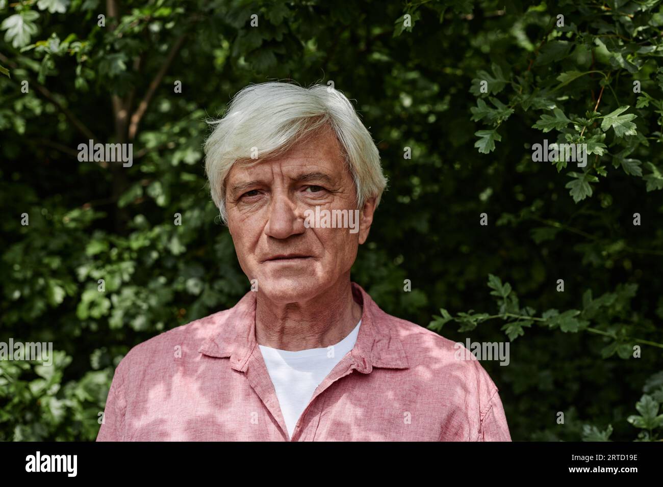Vorderansicht Porträt eines weißhaarigen älteren Mannes, der die Kamera vor dem Grün im Freien betrachtet Stockfoto