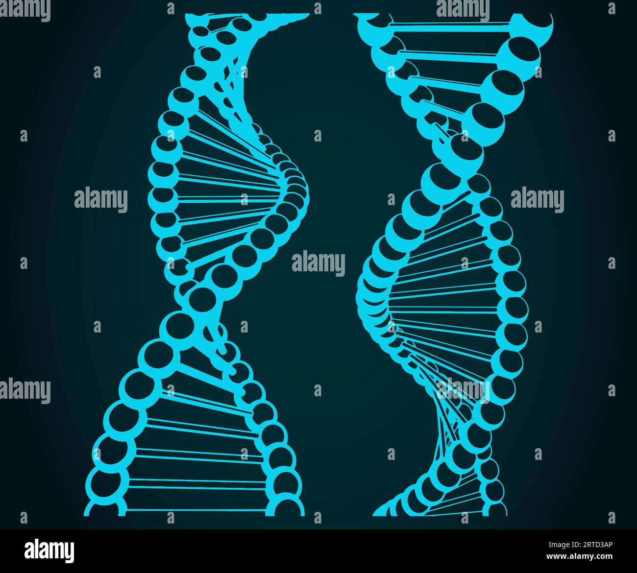 Stilisierte Vektorillustration von DNA-Ketten Stock Vektor