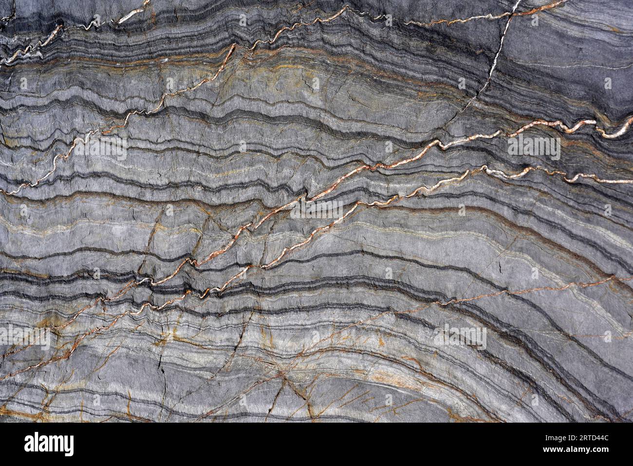 Mikrofalten auf metemorphischem Gestein mit Quarzadern. Dieses Foto wurde in Cala Rovellada, Provinz Girona, Katalonien, Spanien aufgenommen. Stockfoto