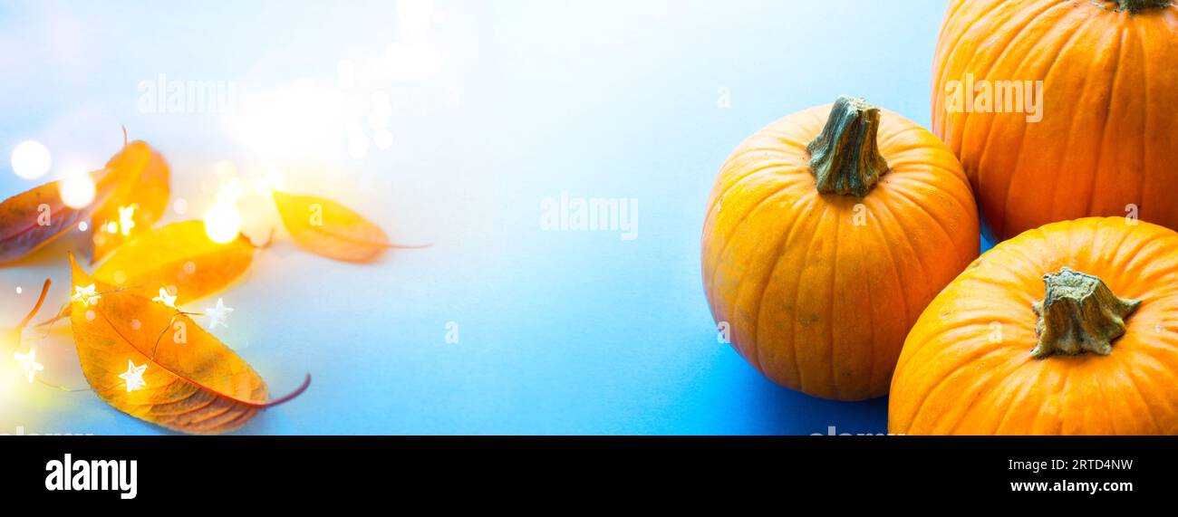 thanksgiving Feiertagsbanner oder Grußkarte Hintergrund mit Herbstkürbis und Herbstblättern auf blauem Hintergrund Stockfoto