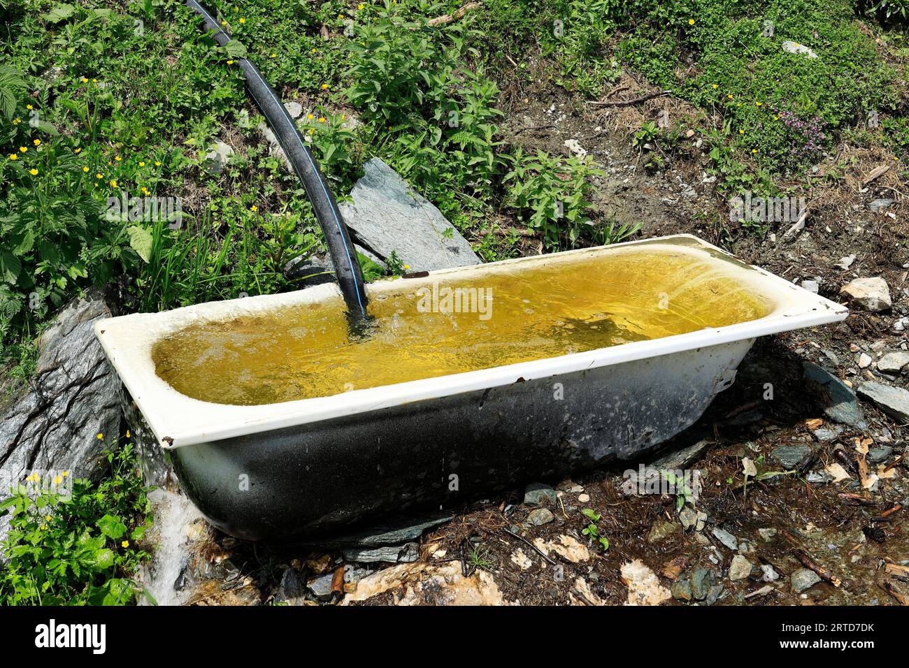 Badewanne in den Alpen bei Kaprun als Tierwässestation Stockfoto