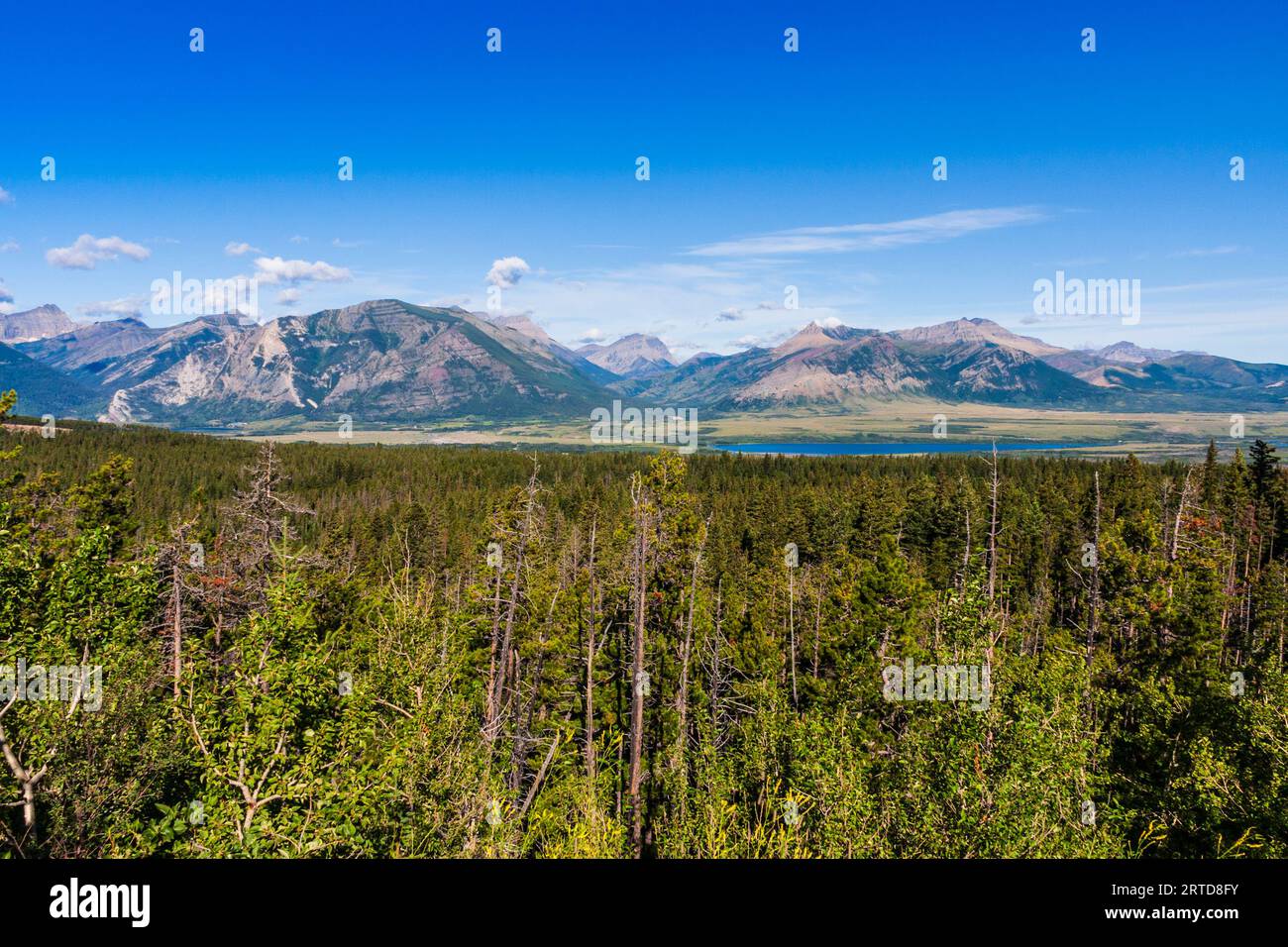 Berge der Rocky Mountain Front in Waterton Lakes National Park in Alberta, Kanada. Stockfoto