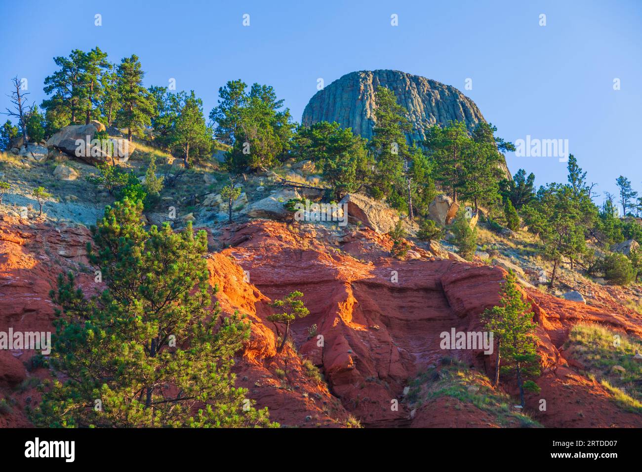 Sonnenaufgang auf roten Felsklippen am Devil's Tower National Monument in Wyoming. Der Devils Tower, der sich 1267 Meter über dem Fluss Belle Fourche erhebt. Stockfoto