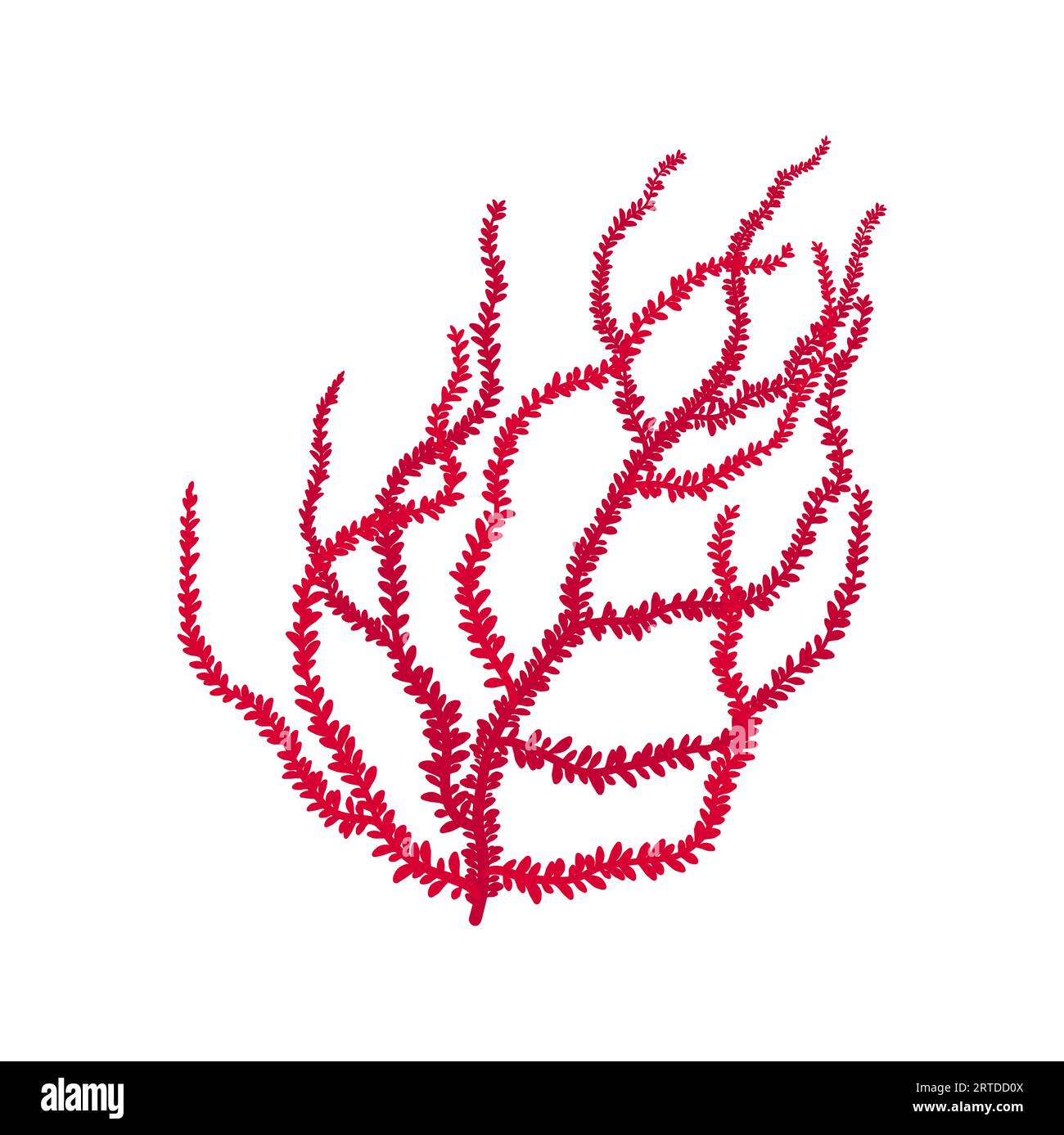 Fingerlederkoralle mit scharfen Kanten pinkfarbenes Cartoon-Seetang-Symbol. Vektoraquarium und Meeresboden Dekoration. Aquatischer Unterwasserorganismus, Algen Stock Vektor