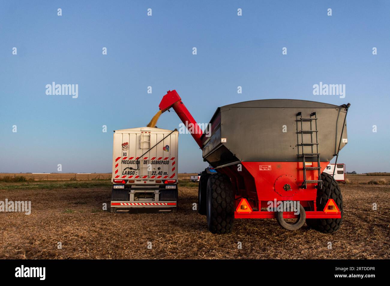 Mähdrescher zum Sammeln von Maiskörnern auf argentinischem Landfeld Stockfoto