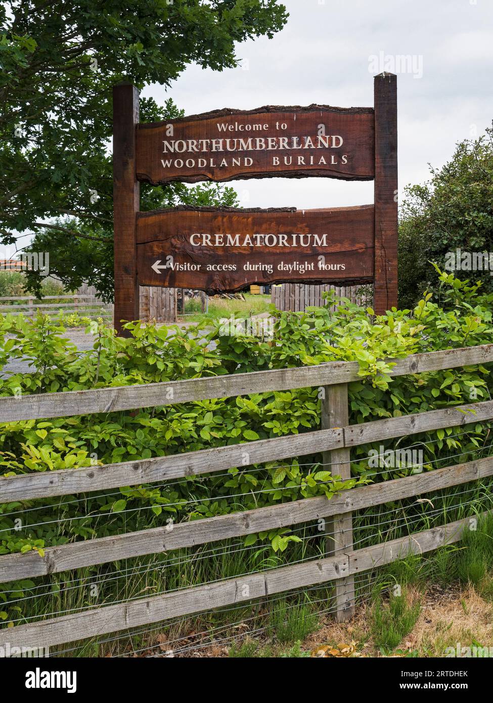 Waldbegräbnis in Northumberland, Großbritannien Stockfoto