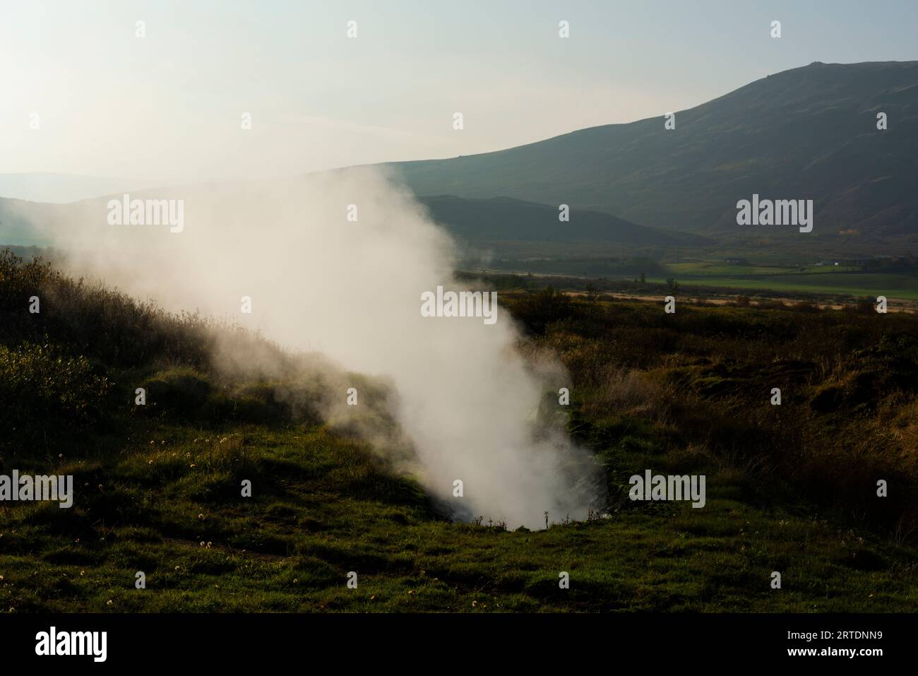 Südisland. Dampfdüsen eines geothermisch aktiven Hotspots in Haukadalur. Stockfoto