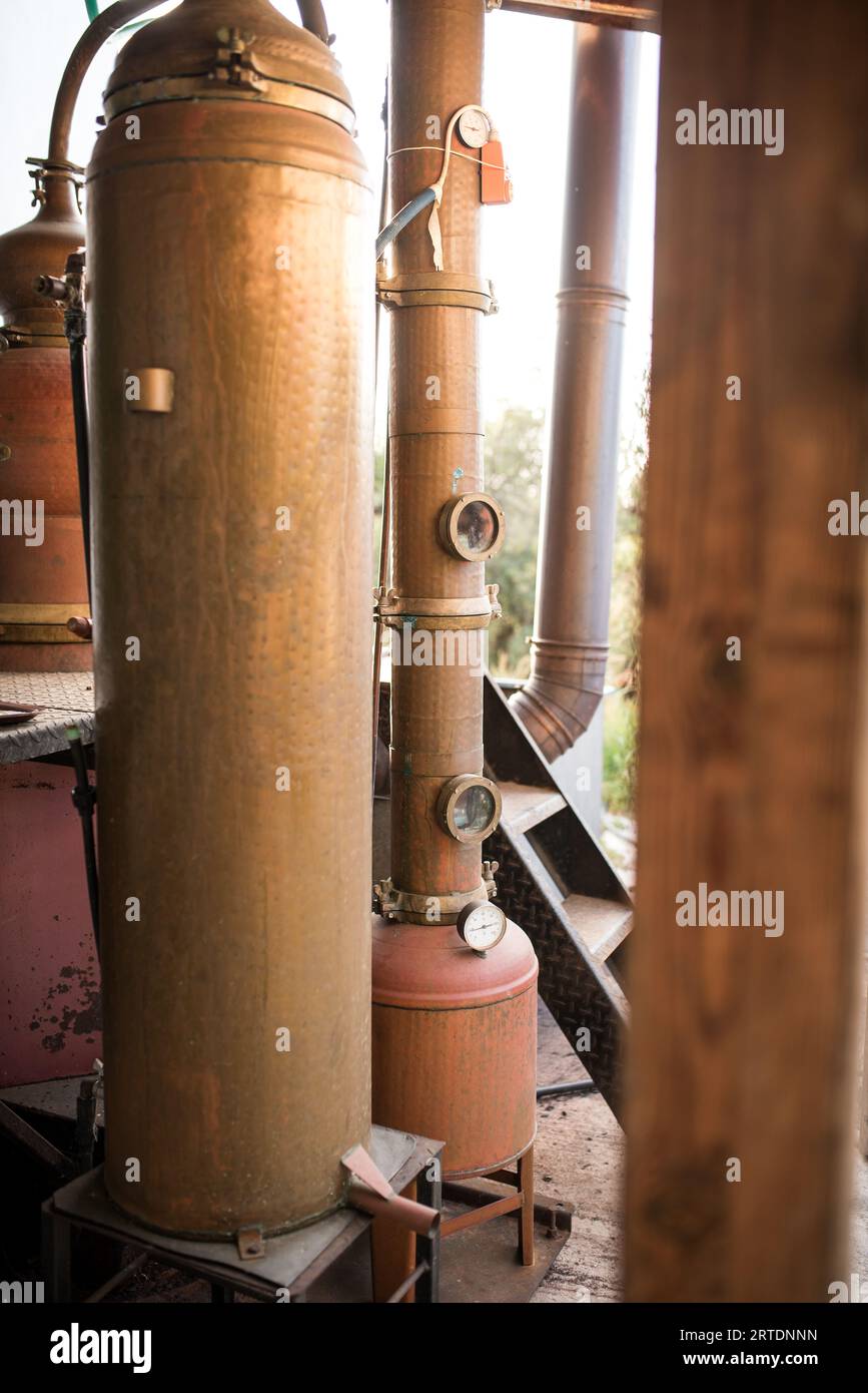 Kupfertopf für die Destillierindustrie. Spirituosenproduktion. Stockfoto