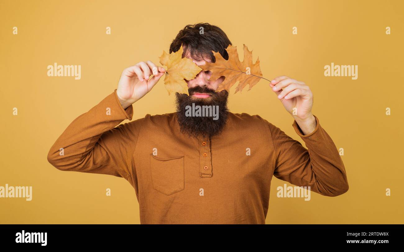 Saisonale Herbstmode. Seriöser Mann in modischer Kleidung, der mit Herbstblättern spielt. Herbstmode Männermodell. Bärtiger Mann bedeckte die Augen mit dem Herbst Stockfoto