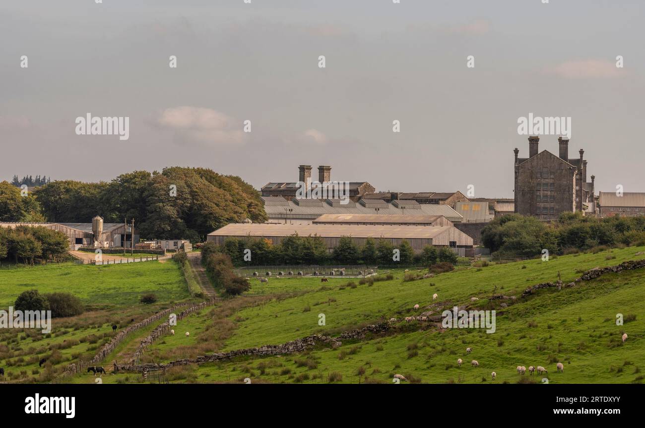 Princetown, Dartmoor, Devon, England, Vereinigtes Königreich. September 2023. Das Dartmoor Gefängnis mit dem Gefängnisgebäude im Hintergrund ist an eine Farm angeschlossen Stockfoto