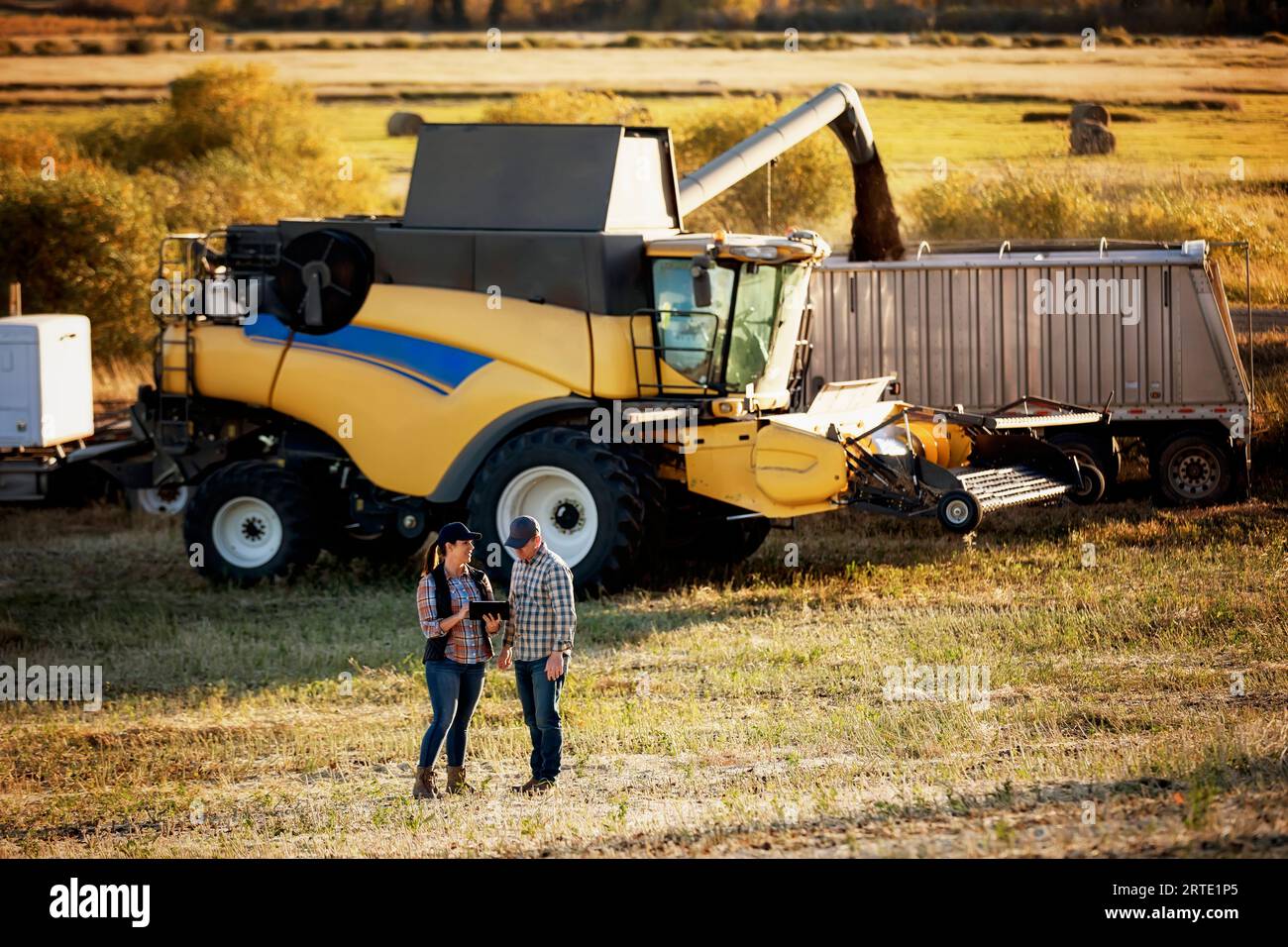 Ein Farmpaar, das auf einem Feld steht und ein tragbares, drahtloses Gerät benutzt, um die Erträge während des Herbstes, der Rapsernte, zu verwalten und zu überwachen, während ein Kamm... Stockfoto