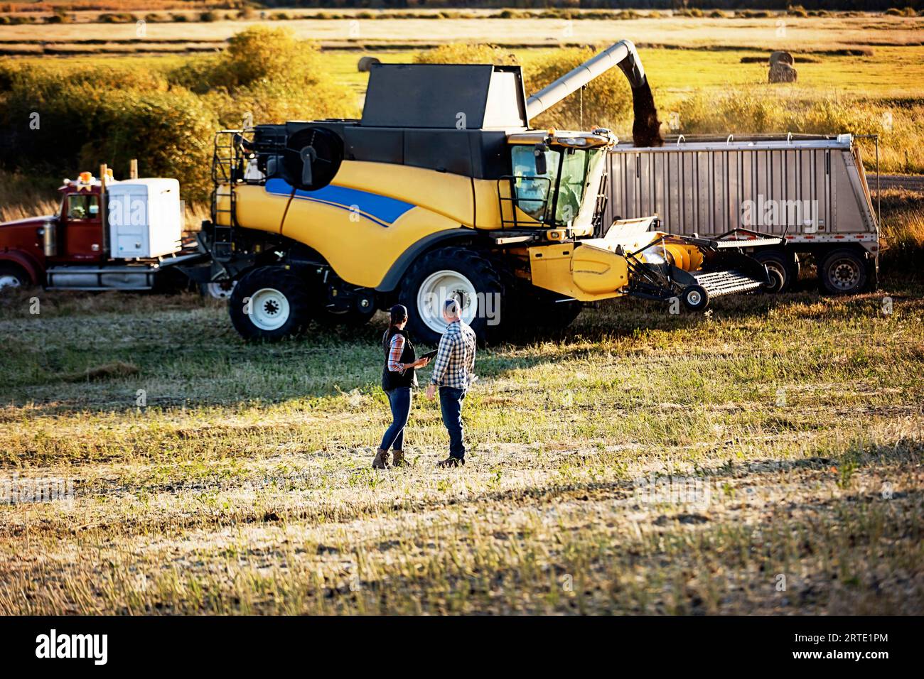 Ein Farmpaar, das auf einem Feld steht und ein tragbares, drahtloses Gerät benutzt, um den Ertrag während des Herbstes zu verwalten und zu überwachen, Rapsernte, Rückblick... Stockfoto
