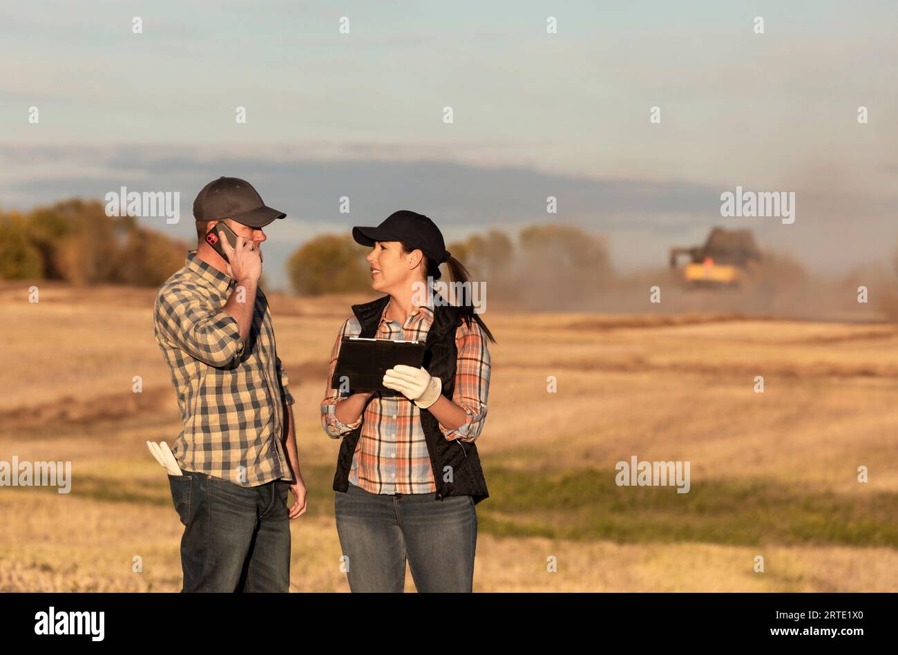 Ehemann und Ehefrau stehen auf einem Feld mit tragbaren, drahtlosen Geräten, um den Ertrag während ihres Herbstes zu verwalten und zu überwachen, Rapsernte mit einem co... Stockfoto
