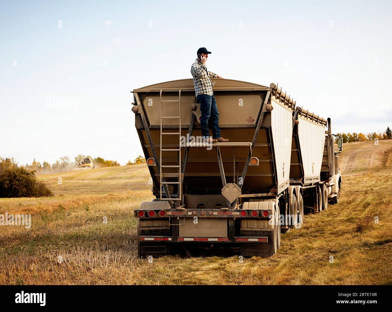 Ein Landwirt, der auf der Rückseite eines Getreidetransporters steht und seine Rapsladung überprüft, während er während der Herbsternte einen Anruf tätigt; Alcomdale, Alberta, Kanada Stockfoto