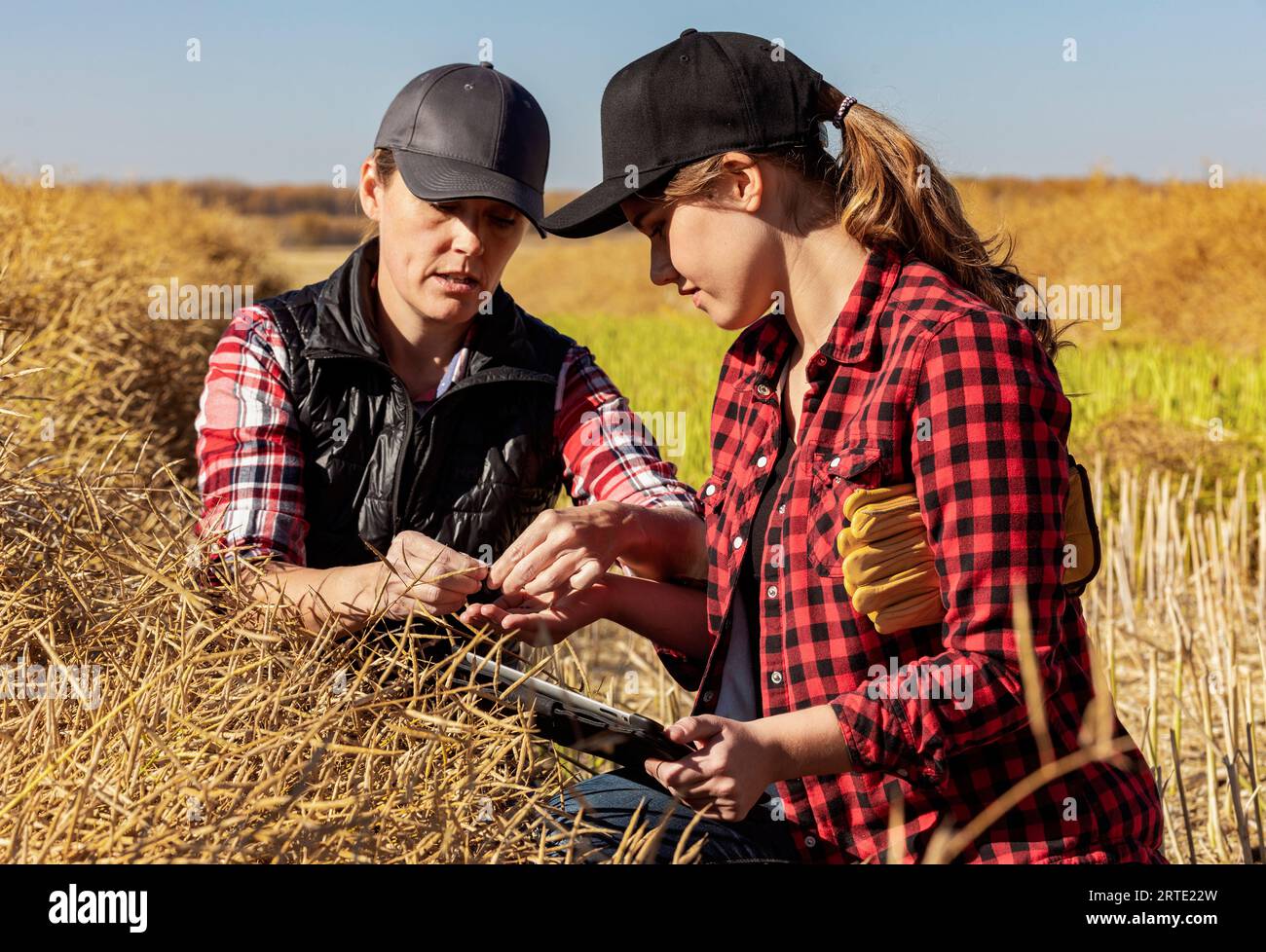 Eine Farmerin, die auf dem Feld sitzt und ihren Lehrling über moderne Anbautechniken für Rapskulturen mit drahtlosen Technologien und Agrartechnik unterrichtet... Stockfoto