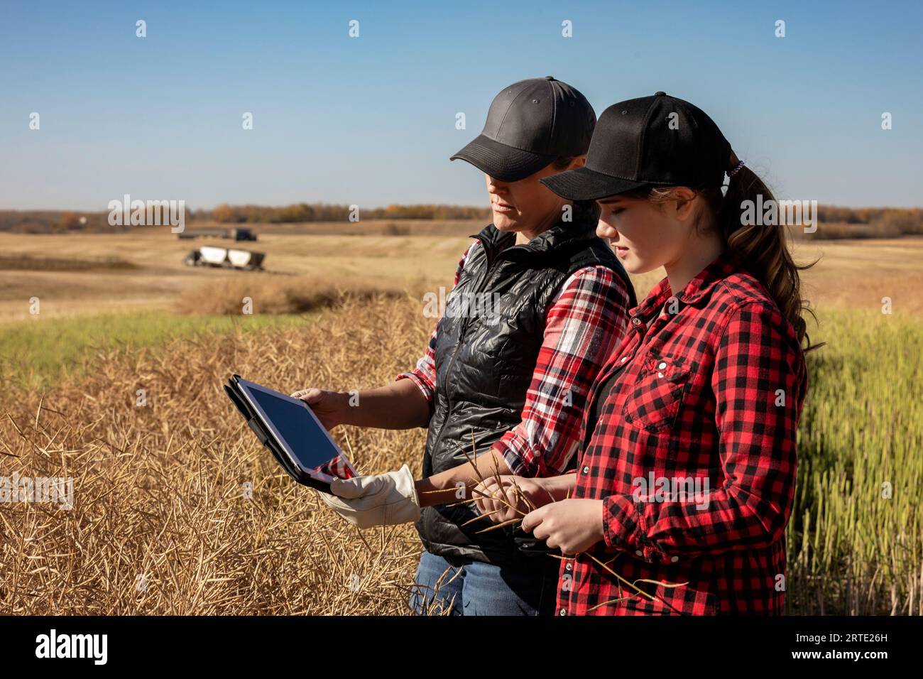 Eine Landwirtin, die auf den Feldern steht und ihren Lehrling über moderne Anbautechniken für Rapskulturen mit drahtlosen Technologien und Landwirtschaft unterrichtet... Stockfoto