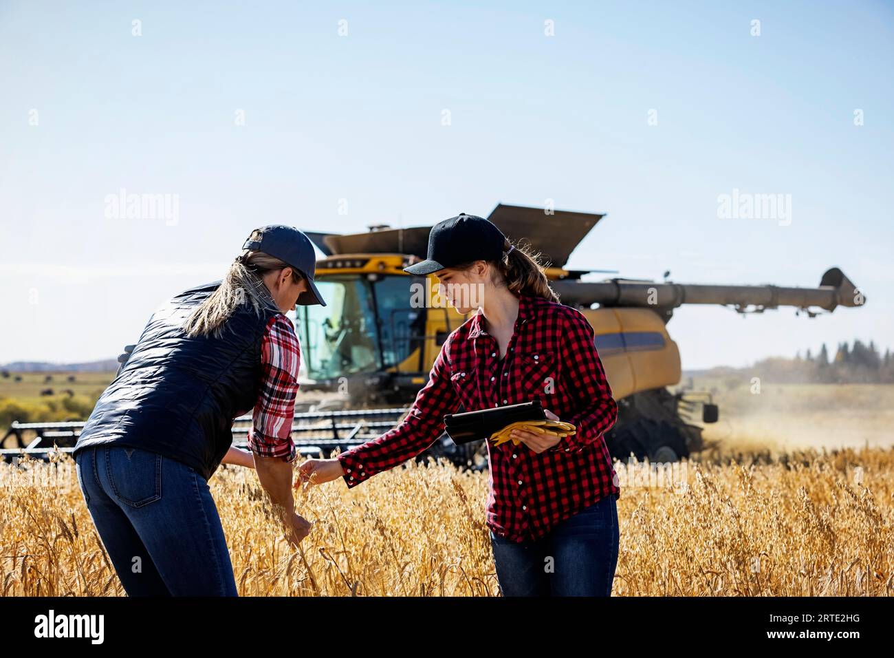 Eine reife Landwirtschaftsfrau, die auf einem Feld steht und mit einer jungen Frau bei der Ernte arbeitet, die Getreide kontrolliert und fortschrittliche Agrarsoftware verwendet... Stockfoto