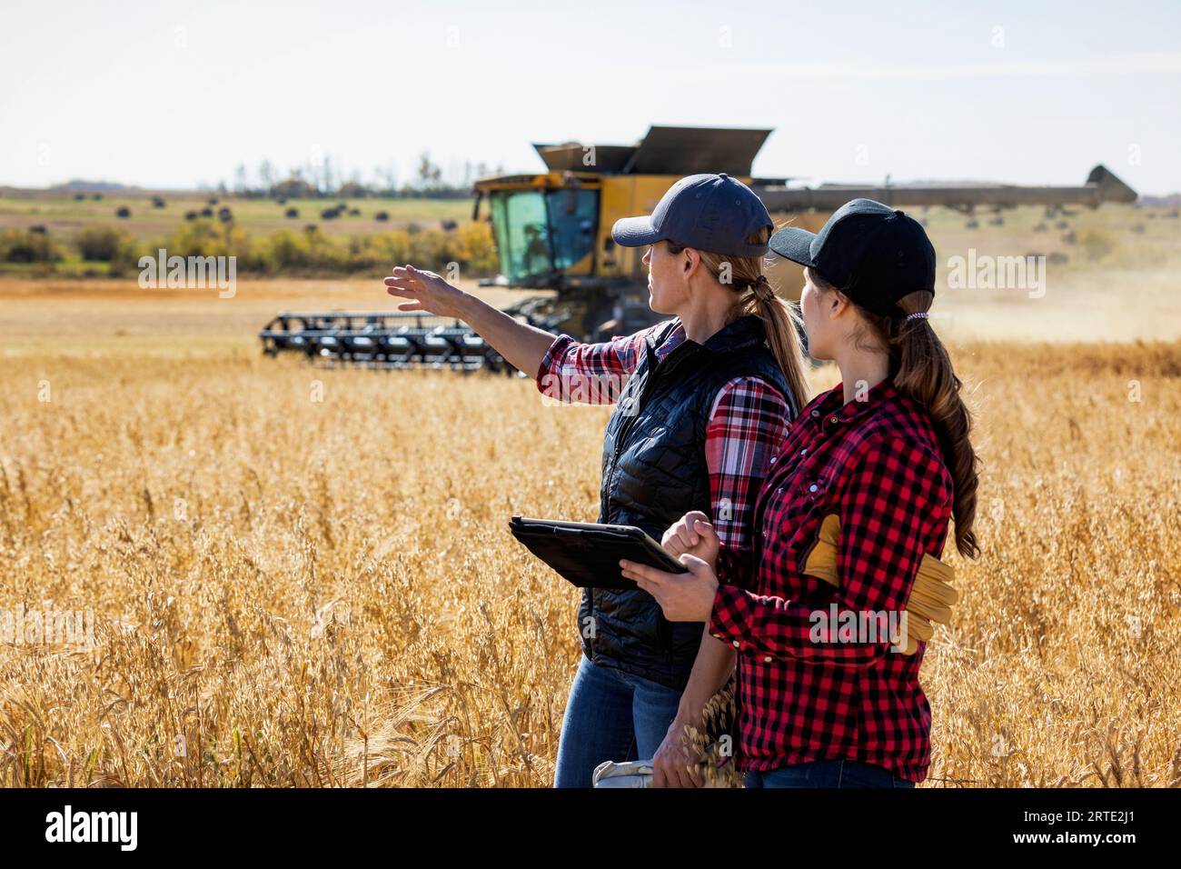 Eine reife Landwirtschaftsfrau, die auf einem Feld steht und mit einer jungen Frau zur Erntezeit zusammen arbeitet, die fortschrittliche landwirtschaftliche Software auf einem Pad verwendet, während... Stockfoto