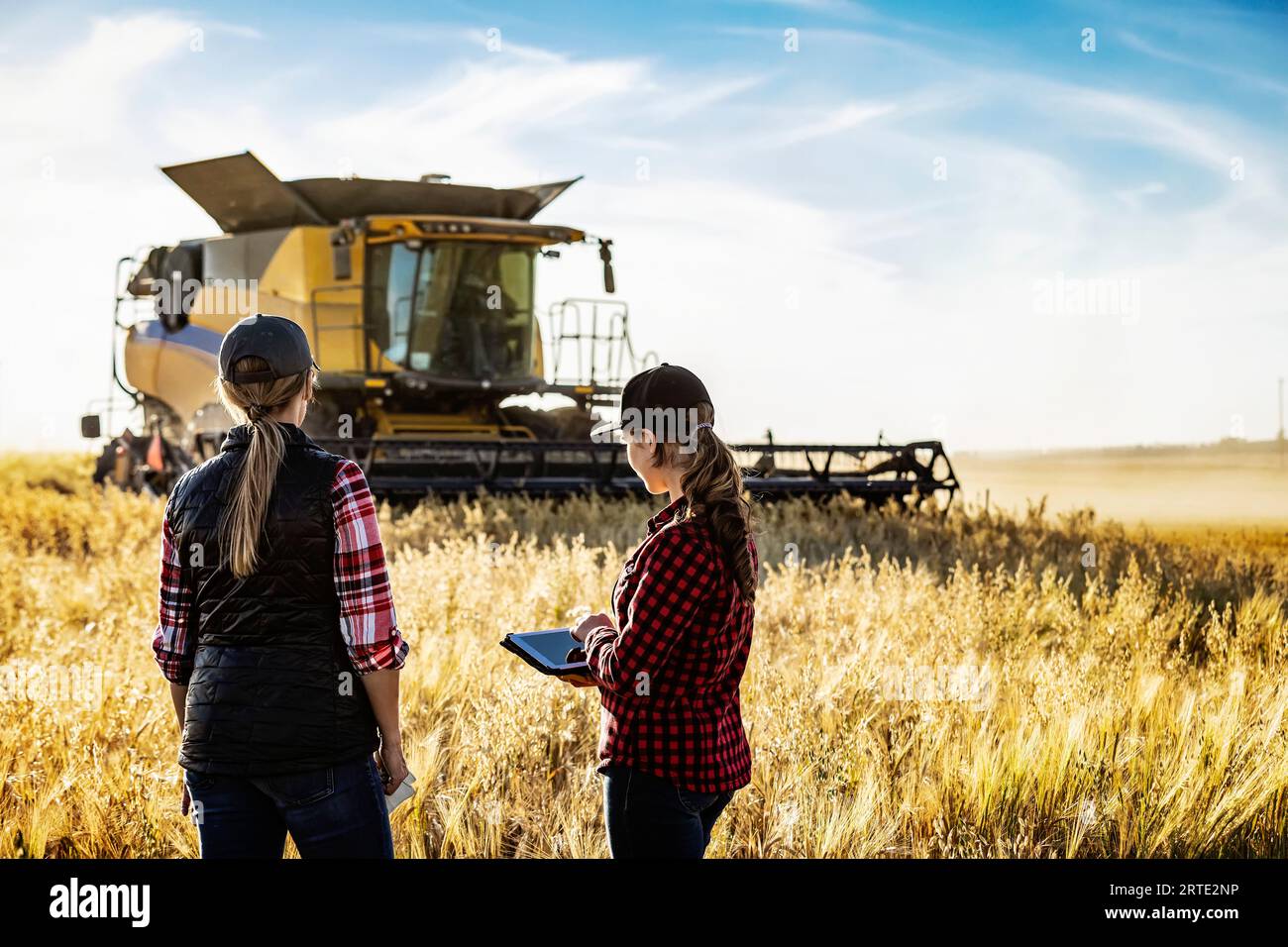 Blick von hinten auf eine reife Landwirtschaftsfrau, die auf einem Feld steht und zur Erntezeit mit einer jungen Frau zusammen arbeitet, die fortschrittliche Landwirtschaft ... nutzt Stockfoto