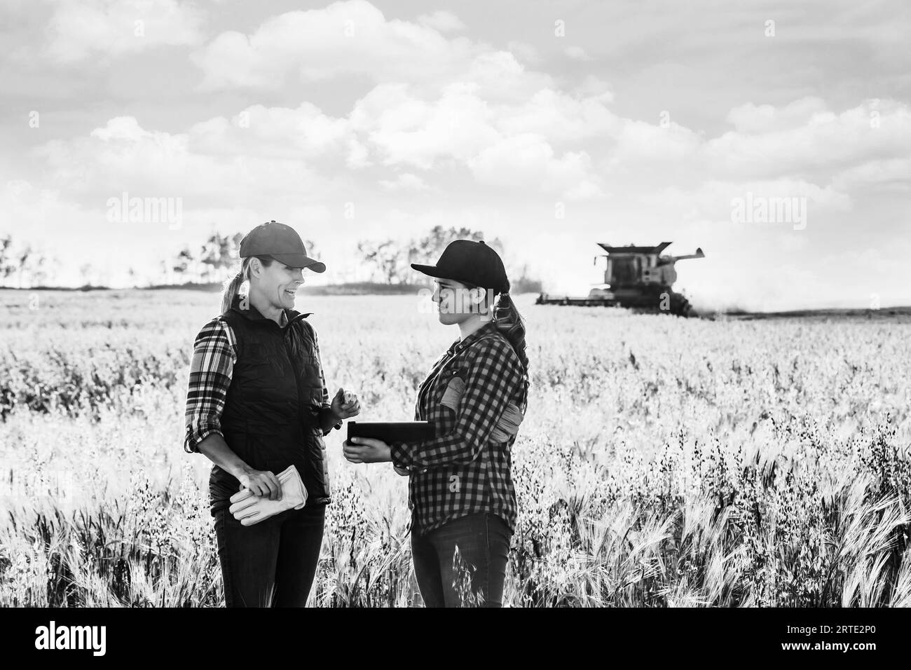 Eine reife Landwirtschaftsfrau, die auf einem Feld steht und mit einer jungen Frau zur Erntezeit zusammen arbeitet, mit fortschrittlicher Agrarsoftware auf einem Pad, mit einem ... Stockfoto
