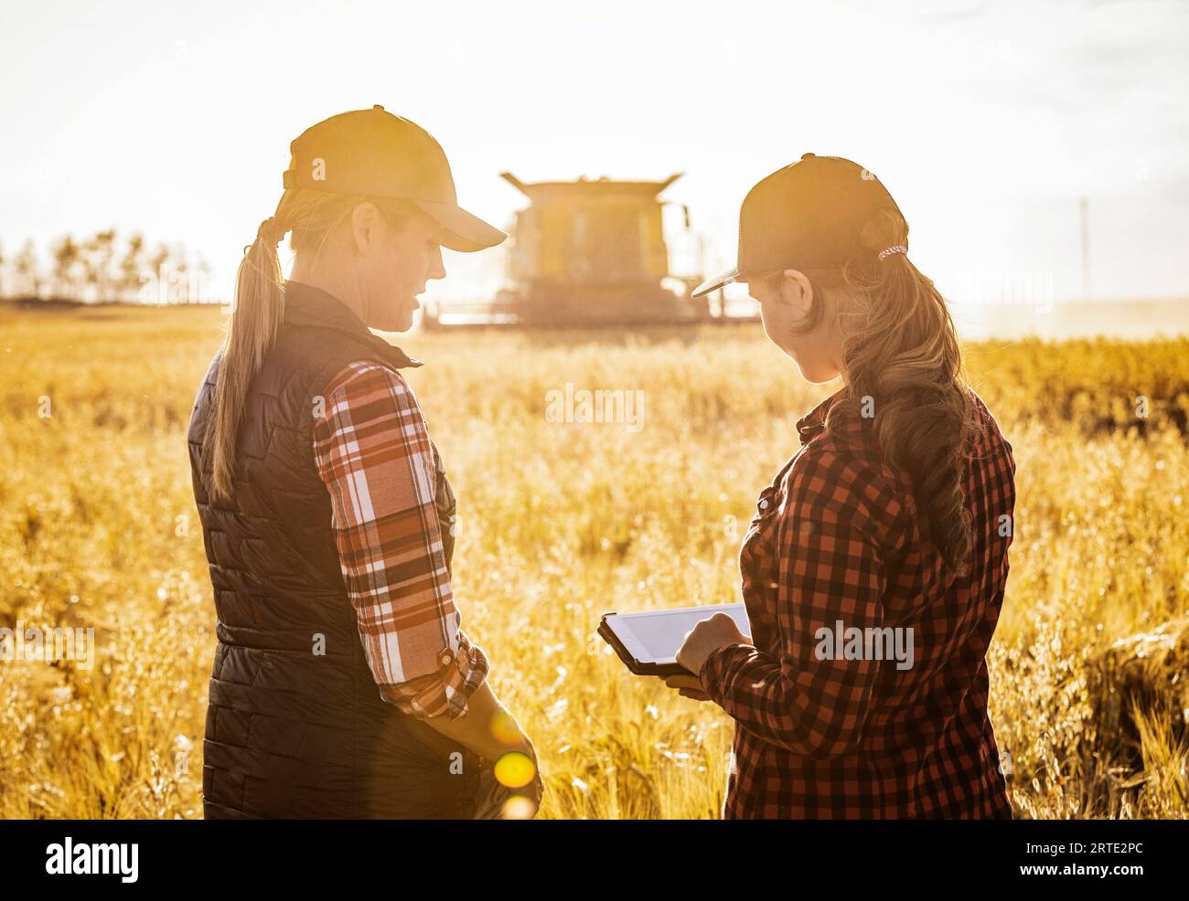 Nahaufnahme von hinten einer Reifen Landwirtschaftsfrau, die auf einem Feld steht und mit einer jungen Frau zur Erntezeit zusammen arbeitet, die fortgeschrittene Landwirtschaft benutzt... Stockfoto