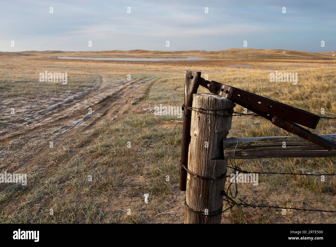 Zaun, Pfosten und Torverriegelung in der Landschaft der Nebraska Sandhills, USA; Sandhills, Nebraska, Vereinigte Staaten von Amerika Stockfoto