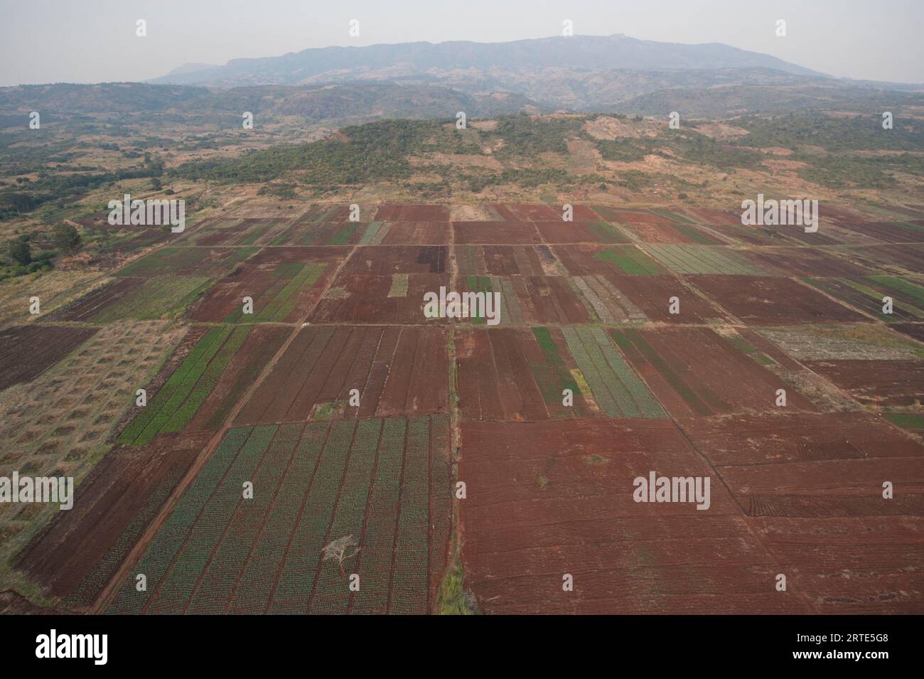 Landwirtschaft in den Ausläufern des Mount Gorongosa im Gorongosa-Nationalpark, Mosambik; Mosambik Stockfoto
