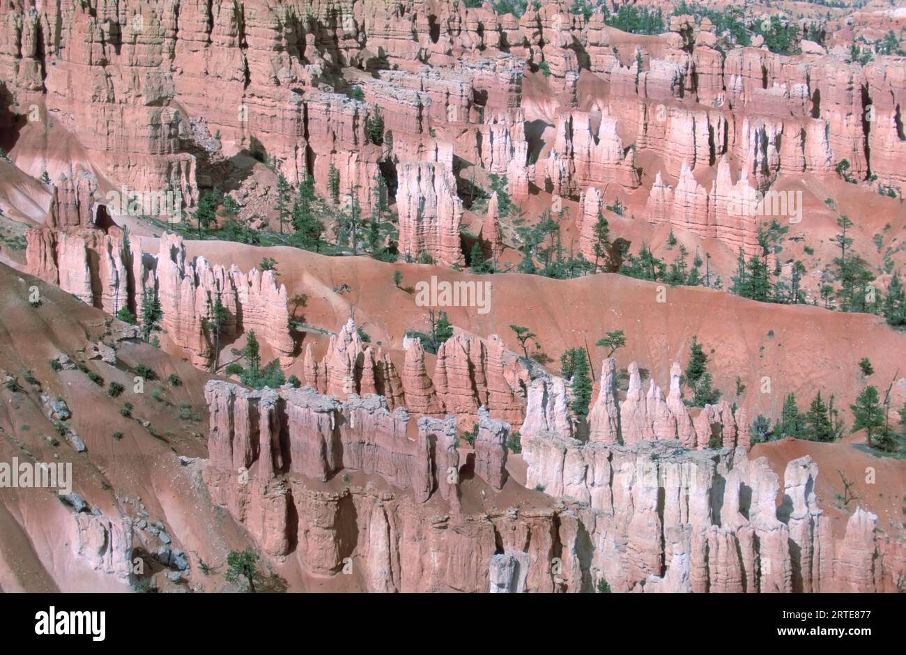 Zerklüftete Landschaften des Bryce Canyon National Park in Utah, USA; Utah, Vereinigte Staaten von Amerika Stockfoto