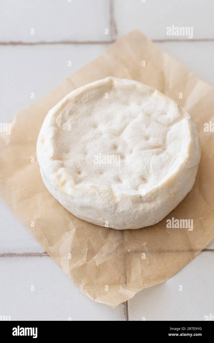 Hausgemachter Camembert Stockfoto