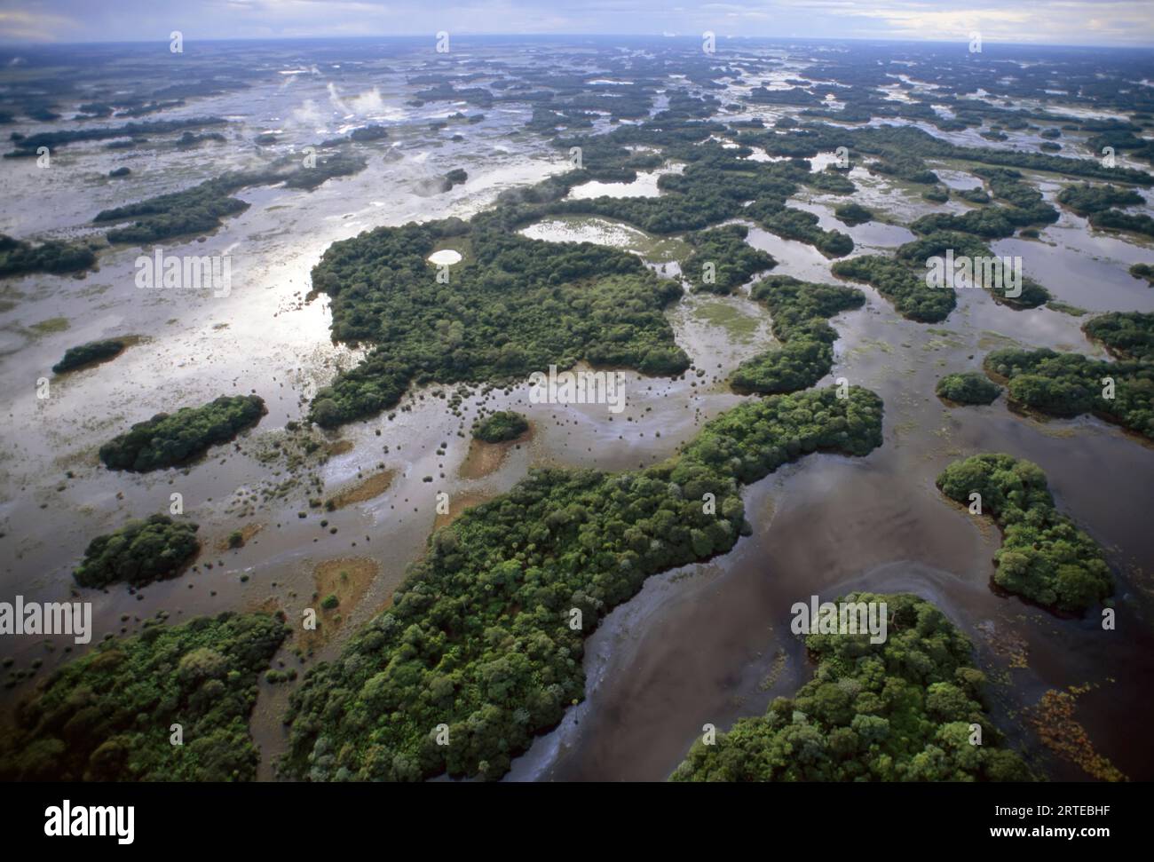 Lagunen und ein Hochwald während der Regenzeit in der Region Pantanal in Brasilien; Pantanal, Brasilien Stockfoto