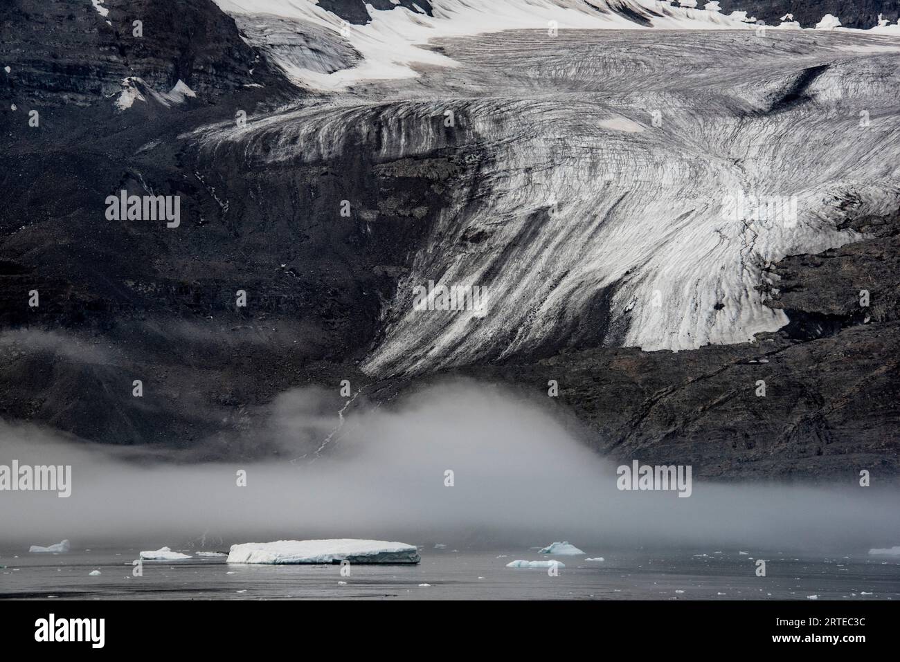 Blick auf einen Gletscherendpunkt und Eis, das im dunklen Wasser des Nansenfjords unter einer Nebelschicht schwimmt; Ostgrönland, Grönland Stockfoto