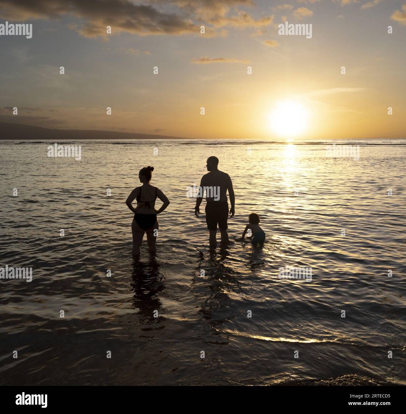 Blick von hinten auf eine Silhouette einer Familie, die in der Dämmerung im Wasser steht und die Natur genießt Stockfoto